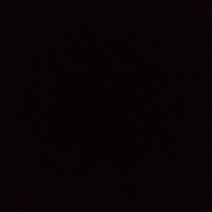 Meet your Posher, Priscila